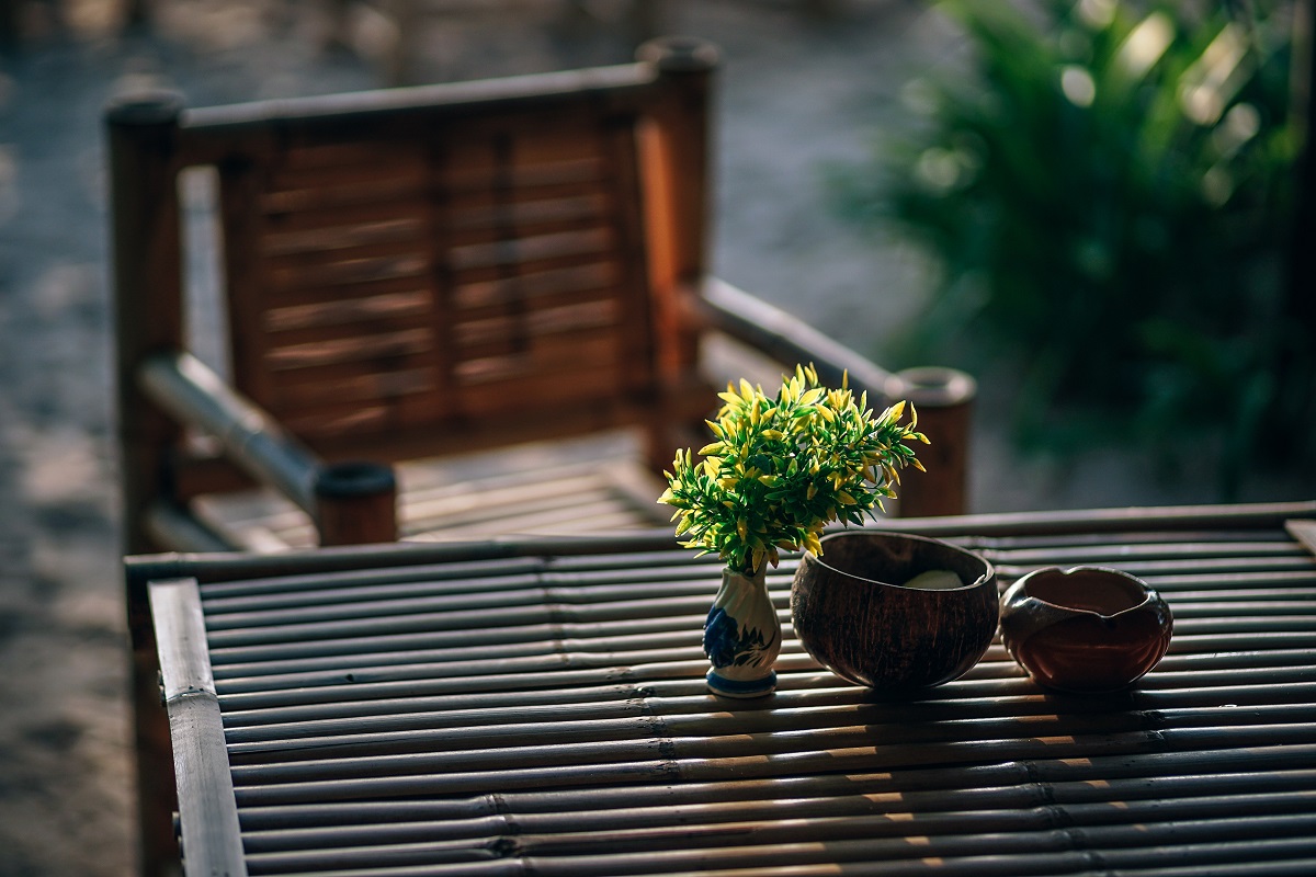 small plant on wooden table