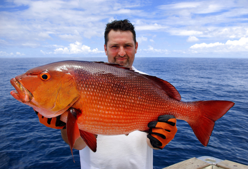 man holding a giant red emperor fish