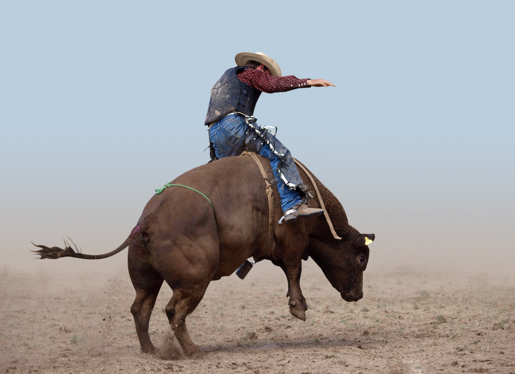 bull rider in action with a clean surrounding