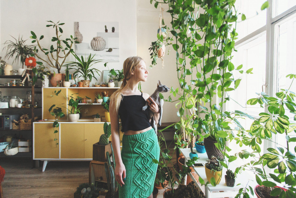 greenery and plants indoor