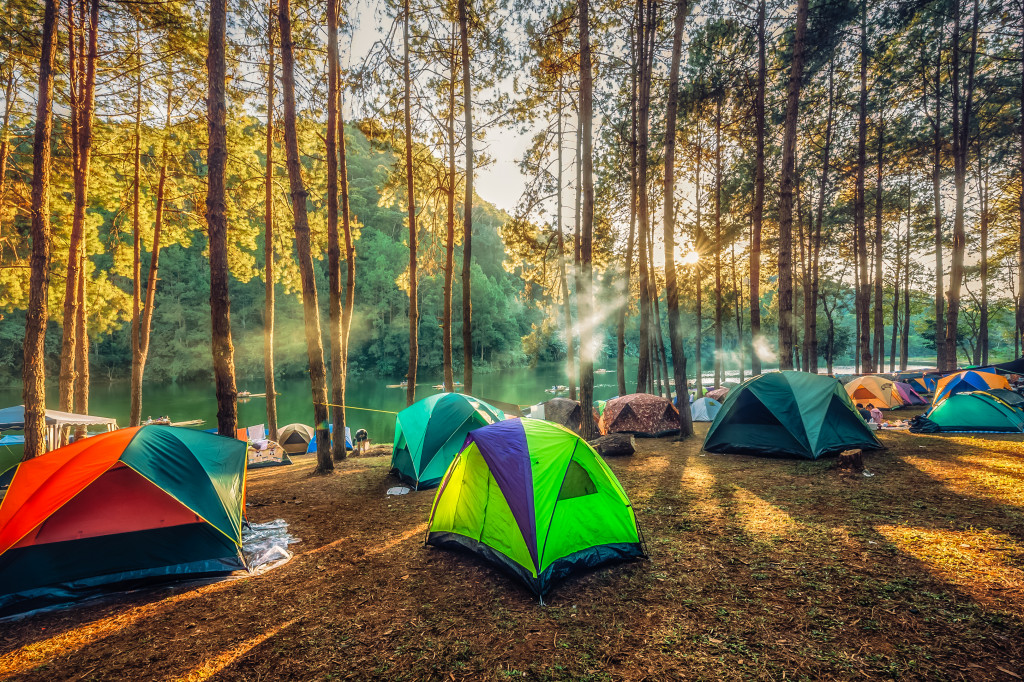 Tents pitched in the middle of a forest.