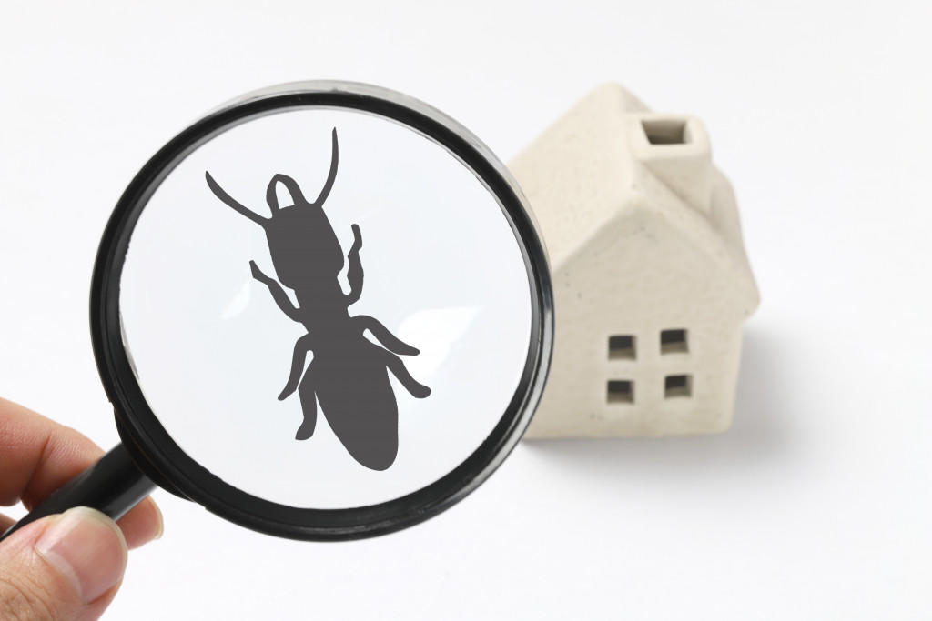 pest under fake magnifying glass over a miniature home